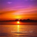 Avatar de Alan Yáñez